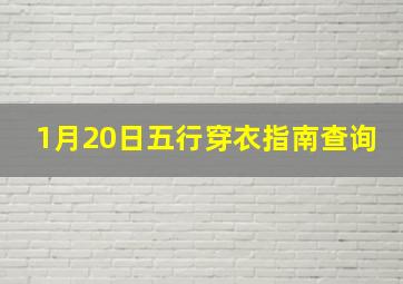 1月20日五行穿衣指南查询