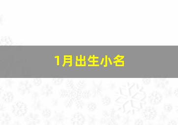 1月出生小名