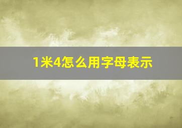 1米4怎么用字母表示