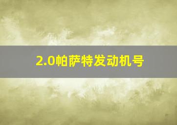 2.0帕萨特发动机号