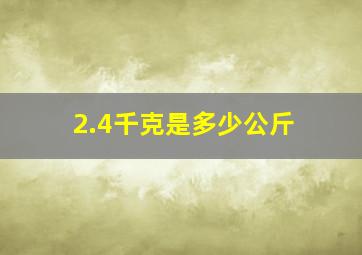 2.4千克是多少公斤