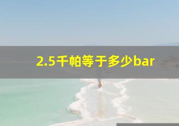 2.5千帕等于多少bar