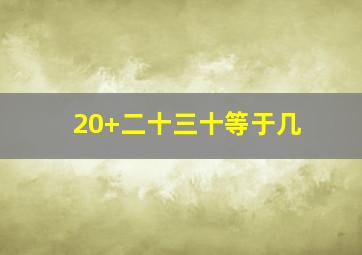 20+二十三十等于几