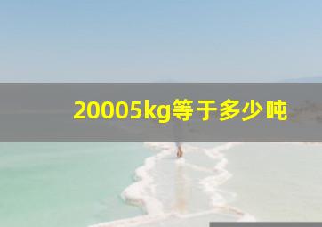 20005kg等于多少吨