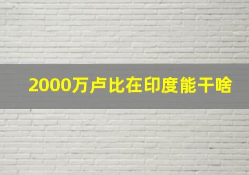 2000万卢比在印度能干啥