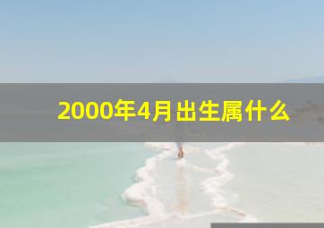 2000年4月出生属什么