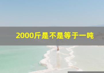 2000斤是不是等于一吨