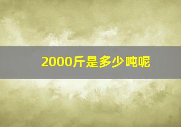 2000斤是多少吨呢