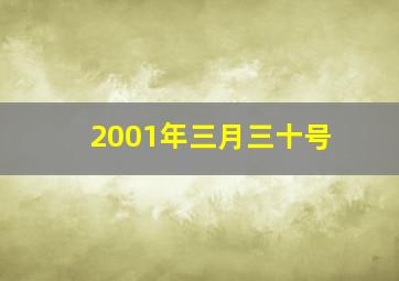 2001年三月三十号