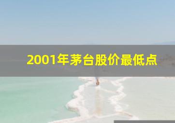 2001年茅台股价最低点