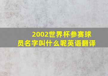 2002世界杯参赛球员名字叫什么呢英语翻译