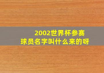 2002世界杯参赛球员名字叫什么来的呀