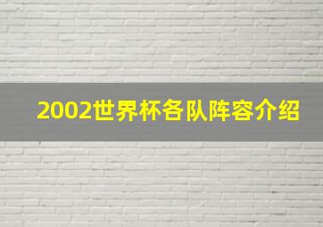 2002世界杯各队阵容介绍