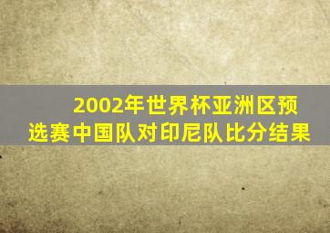 2002年世界杯亚洲区预选赛中国队对印尼队比分结果