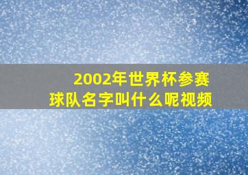 2002年世界杯参赛球队名字叫什么呢视频