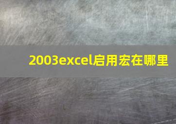 2003excel启用宏在哪里