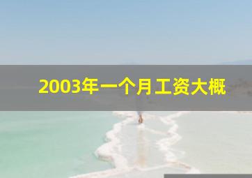 2003年一个月工资大概