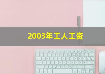 2003年工人工资