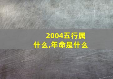 2004五行属什么,年命是什么