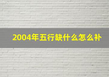 2004年五行缺什么怎么补