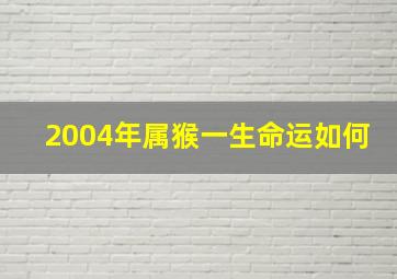 2004年属猴一生命运如何