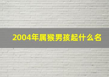 2004年属猴男孩起什么名