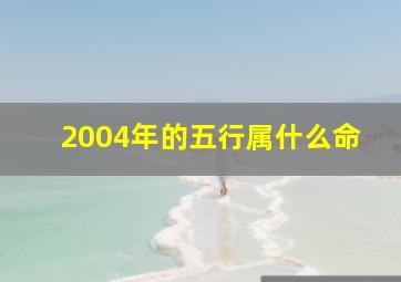 2004年的五行属什么命