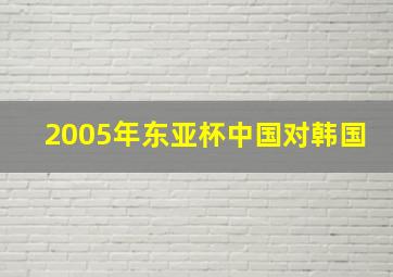 2005年东亚杯中国对韩国