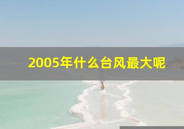 2005年什么台风最大呢