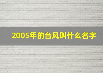 2005年的台风叫什么名字