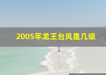 2005年龙王台风是几级