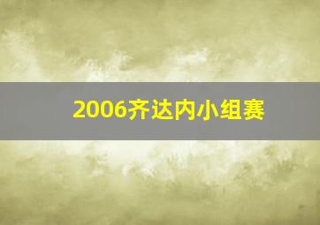 2006齐达内小组赛