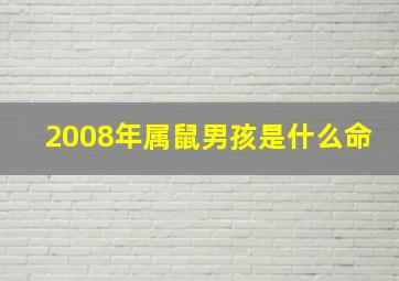 2008年属鼠男孩是什么命