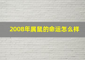 2008年属鼠的命运怎么样