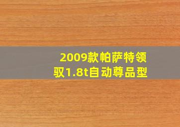 2009款帕萨特领驭1.8t自动尊品型