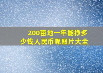 200亩地一年能挣多少钱人民币呢图片大全