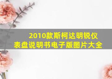 2010款斯柯达明锐仪表盘说明书电子版图片大全