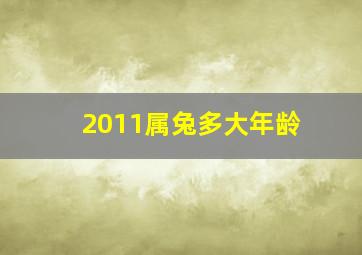 2011属兔多大年龄