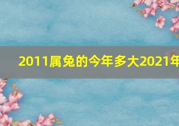 2011属兔的今年多大2021年