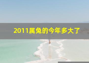 2011属兔的今年多大了