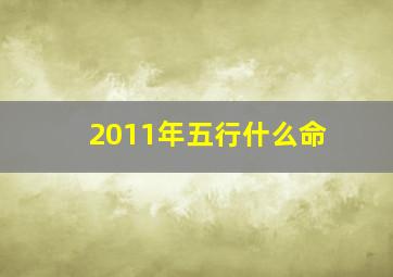 2011年五行什么命