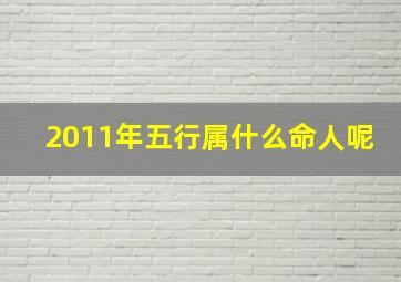 2011年五行属什么命人呢