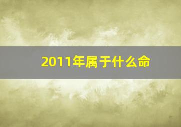 2011年属于什么命