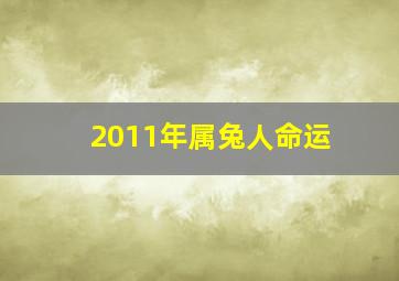 2011年属兔人命运