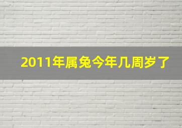 2011年属兔今年几周岁了