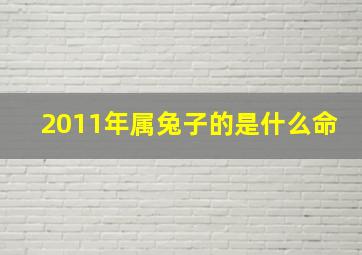 2011年属兔子的是什么命