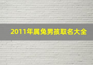 2011年属兔男孩取名大全