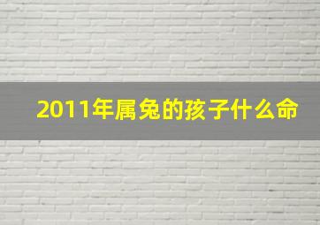 2011年属兔的孩子什么命