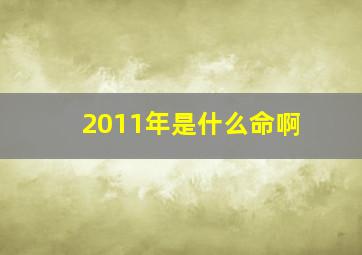 2011年是什么命啊