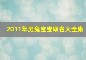 2011年男兔宝宝取名大全集